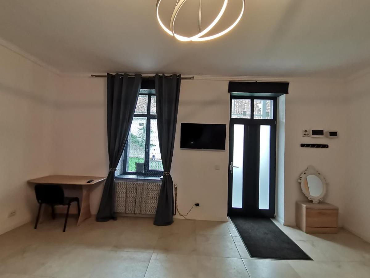 Appartement Casa J. Gusbeth à Braşov Extérieur photo